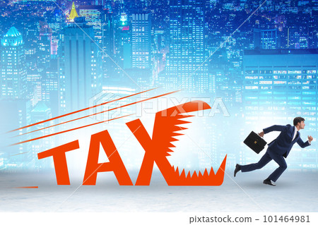 Concept of the tax burden Concept of the tax burden 101464981