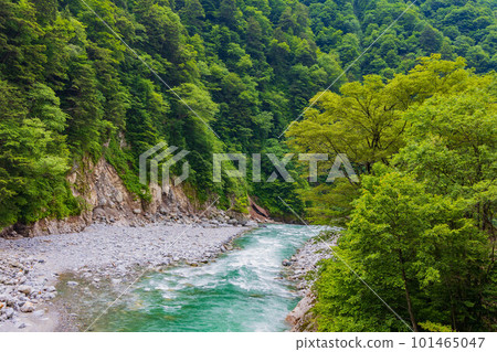 從日本的火車窗看到綠樹成蔭的黑部峽谷鐵路 101465047