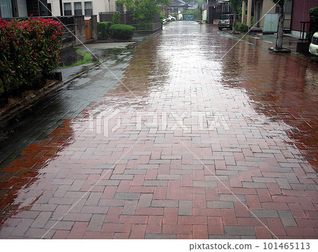 鵝卵石在雨中閃閃發光 101465113