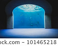 Shikoku Aquarium 101465218