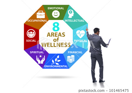 Concept of eight areas of wellness Concept of eight areas of wellness 101465475
