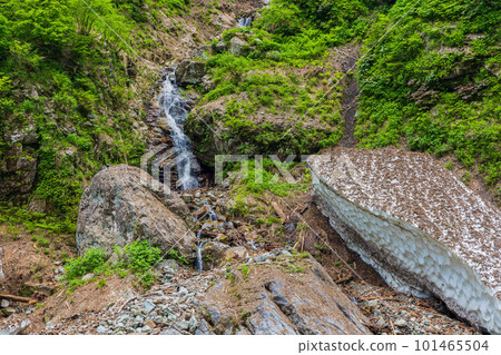 Kurobe Permanent Snow along the Kurobe Gorge Railway with its deep greenery Kurobe Permanent Snow along the Kurobe Gorge Railway with its deep greenery 101465504