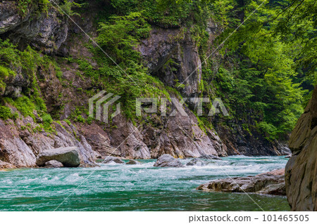 Kanetsurigawara along the verdant Kurobe Gorge Railway Kanetsurigawara along the verdant Kurobe Gorge Railway 101465505