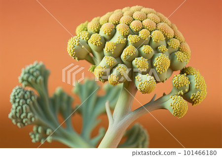 Green broccoli on colorful background. Pop art modern style, Generative AI Green broccoli on colorful background. Pop art modern style, Generative AI 101466180