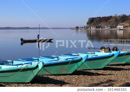 浪漫的茨城縣(拉姆薩爾公約登記的自然。與人們共存的豐富時光。) 日沼和蛤蜊捕撈 浪漫的茨城縣(拉姆薩爾公約登記的自然。與人們共存的豐富時光。) 日沼和蛤蜊捕撈 101466381