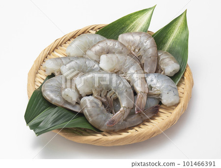 南美白對蝦 101466391