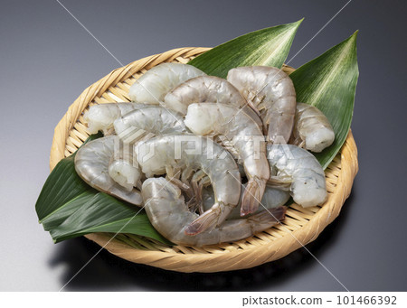 南美白對蝦 101466392