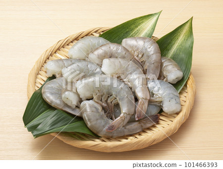 Vannamei shrimp 101466393