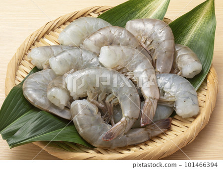 南美白對蝦 101466394