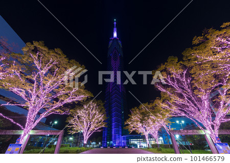 Fukuoka Tower at night seen from Sazae-san Street Fukuoka Tower at night seen from Sazae-san Street 101466579