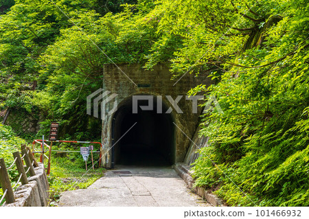 綠色的黑部峽鐵道沿線的櫸平站周邊隧道 綠色的黑部峽鐵道沿線的櫸平站周邊隧道 101466932