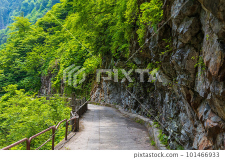 Around Keyakidaira station along the green Kurobe Gorge Railway Around Keyakidaira station along the green Kurobe Gorge Railway 101466933