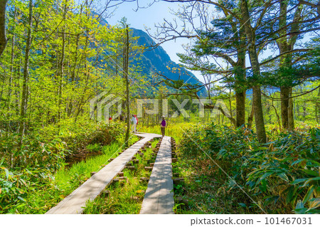 [Scenic view] Kamikochi climbers in early summer [Nagano Prefecture] 101467031