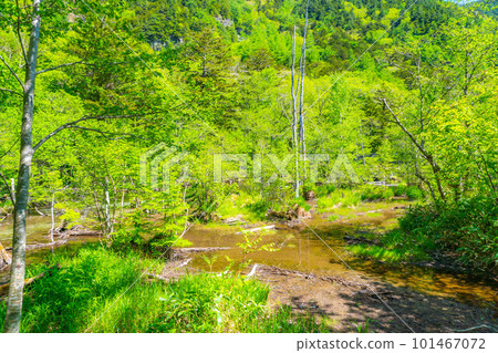 [Scenic view] Kamikochi in early summer [Nagano Prefecture] 101467072