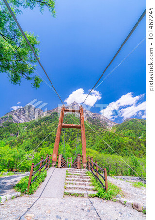 [Scenic view] Mt. Myojin and Myojin Bridge in Kamikochi in early summer [Nagano Prefecture] 101467245