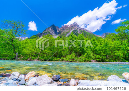 [風景]初夏的上高地[長野縣] 101467326
