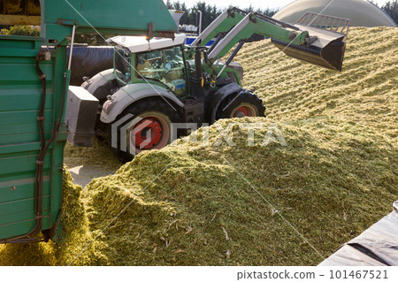 Preparation of animal food in agricultural complex Preparation of animal food in agricultural complex 101467521