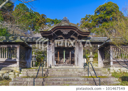 Mii-dera Temple Gohozenjindo Karamon櫻花季（滋賀縣大津市） 101467549