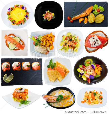 Various dishes of salmon with vegetables 101467674