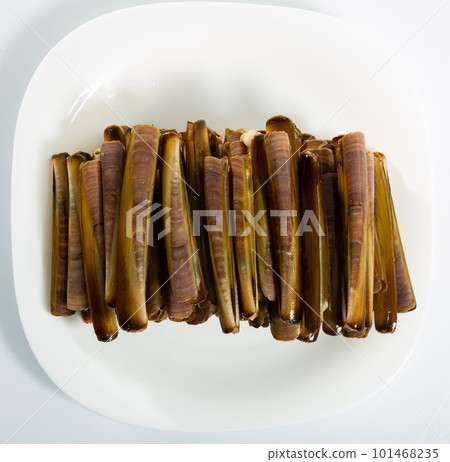 Clams ensis on white surface Clams ensis on white surface 101468235