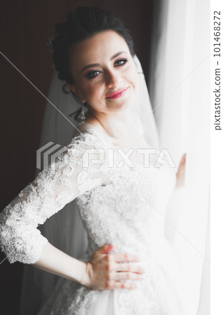 Portrait of beautiful bride with fashion veil at wedding morning 101468272