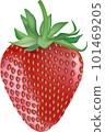 Realistic strawberry illustration (vector material also available) 101469205