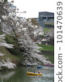 Cherry blossom viewing from a boat in full bloom 101470639