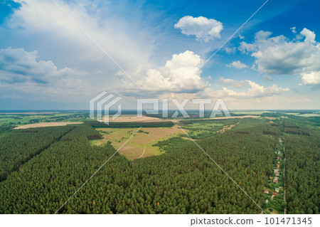 Rural landscape, aerial view, skyview of countryside and pine forest with partially cloudy sky 101471345