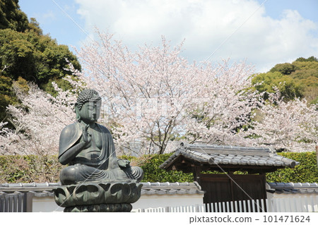 Kokawadera in spring 101471624