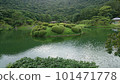 Kuribayashi park's love azaleas 101471778