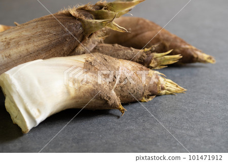 Freshly picked bamboo shoots 101471912