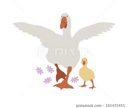 Vector isolated illustration with goose and gosling and small pink flowers. Farm birds. Farming. Village. Vector isolated illustration with goose and gosling and small pink flowers. Farm birds. Farming. Village. 101472455