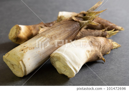 Freshly picked bamboo shoots Freshly picked bamboo shoots 101472696