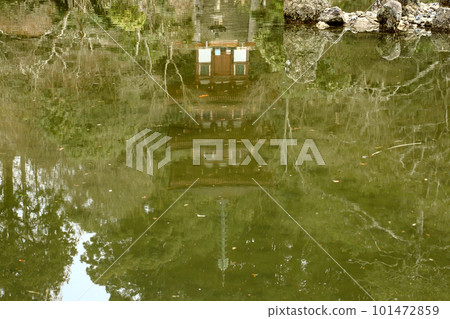 Three-storied pagoda reflected in the pond 101472859