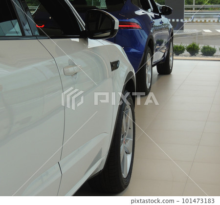 New Vehicles Showing For Rent In A Modern Showroom New Vehicles Showing For Rent In A Modern Showroom 101473183