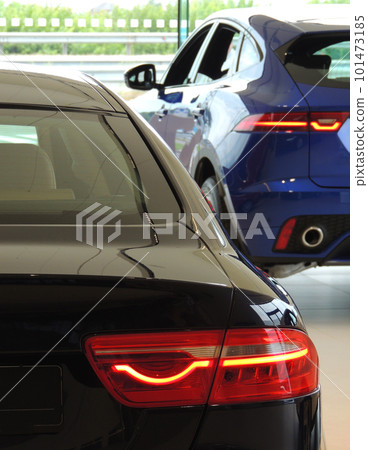 New Cars Put Up For Sale In A Dealership Center  101473185