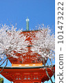 A three-storied pagoda surrounded by cherry blossoms 101473222