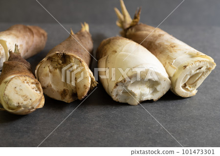 Freshly picked bamboo shoots Freshly picked bamboo shoots 101473301