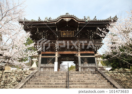 Kokawadera in spring Kokawadera in spring 101473683