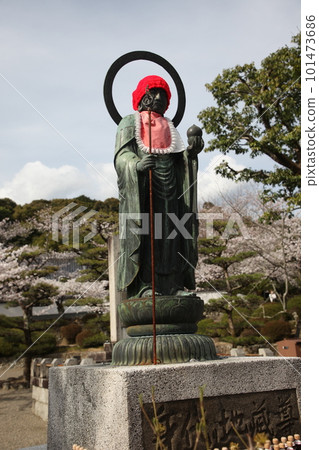 春天的小河寺 101473686