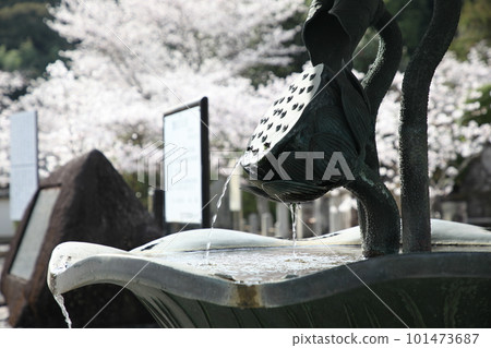 Kokawadera in spring Kokawadera in spring 101473687