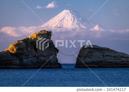 《靜岡縣》富士山和牛月岩/雲見海岸的景色 101474217