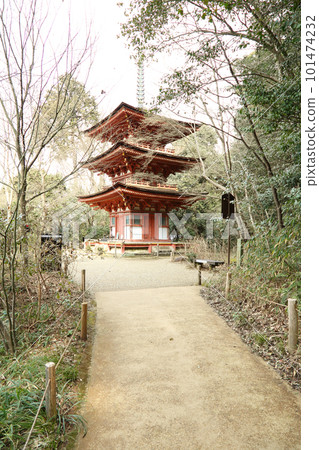 Triple tower at Joruri-ji 101474232