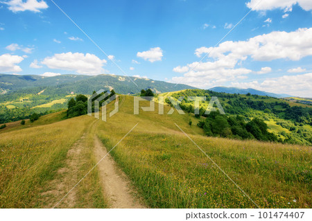 country road down the hills and meadows rolling in to the distant valley. mountainous countryside landscape of ukrainian carpathians in summer country road down the hills and meadows rolling in to the distant valley. mountainous countryside landscape of ukrainian carpathians in summer 101474407