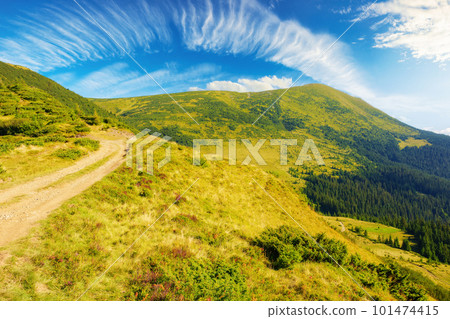 path through the mountain hill. wonderful landscape of carpathian mountains in summer. travel ukraine path through the mountain hill. wonderful landscape of carpathian mountains in summer. travel ukraine 101474415