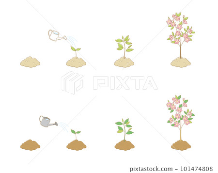 growing flower tree 101474808