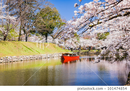 Hikone Castle in spring Yakatabune tours the inner moat 101474854
