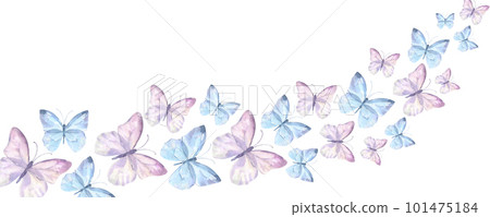 Bordure with watercolor illustration delicate blue and pink butterflies. Design for packaging, label and greeting card Bordure with watercolor illustration delicate blue and pink butterflies. Design for packaging, label and greeting card 101475184