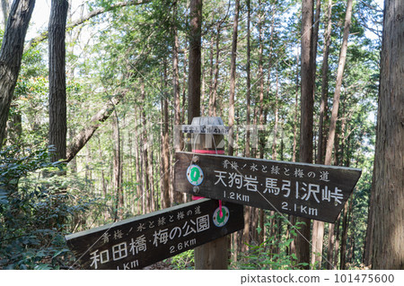 The summit of Mt.Yogai (Ome City, Tokyo) 101475600