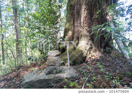 Atago Mountain Peak (Ome City, Tokyo) 101475604